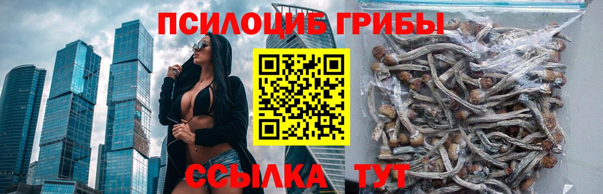 Галлюциногенные грибы Cubensis  Вход с VPN  Нарткала 